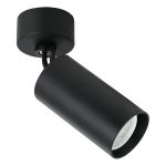 Plafonska lampa AFS112-1C BK-Cormel-FORMA