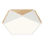 LED plafonska lampa F2810-24C WH-Cormel-FORMA