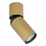 Plafonska lampa AFS117-1C SG-Cormel-FORMA