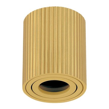 Plafonska lampa AFS118-1C SG-Cormel-FORMA