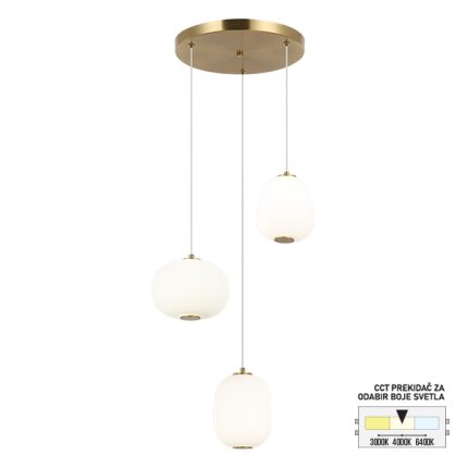 LED luster F2405-20L SG-Cormel-FORMA