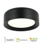 LED plafonska lampa F2096-51C BK-Cormel-FORMA
